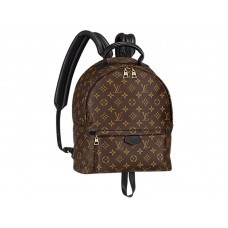 Louis Vuitton Monogram Canvas Palm Springs Rucksack (MM)