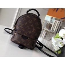 Louis Vuitton Monogram Canvas Palm Springs Rucksack Mini m41562