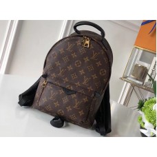 Louis Vuitton Monogram Canvas Palm Springs Rucksack PM M41560
