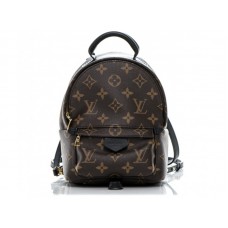 Louis Vuitton Monogram Canvas Palm Springs Rucksack Mini am41562